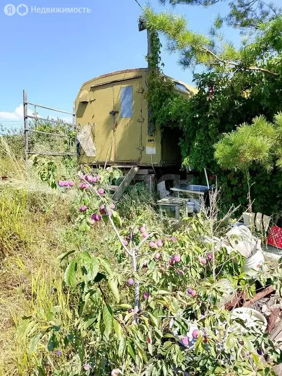 Участок в Оренбургский район, Степановский сельсовет, СНТ Каргалинка, ... - Фото 1