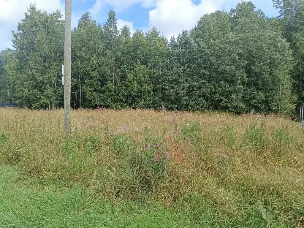Участок в Выборгский район, Советское городское поселение, посёлок ... - Фото 1