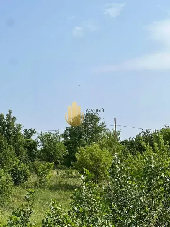 Участок в Ростовская область, Белокалитвинский район, пос. Коксовый, ... - Фото 1