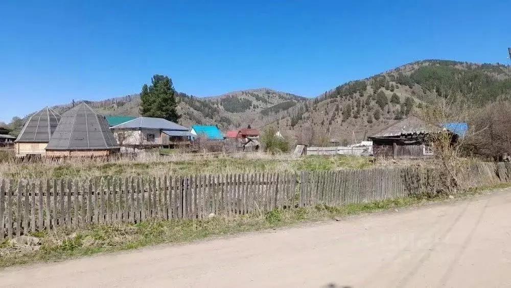 Участок в Алтай, Майминский район, с. Бирюля Окаинская ул. (20.0 сот.) - Фото 1