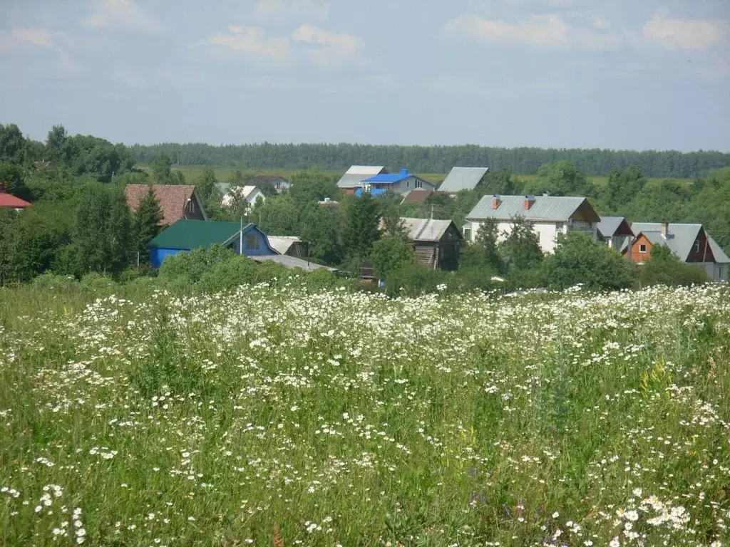 Участок в Владимирская область, Судогодский район, Муромцевское ... - Фото 1