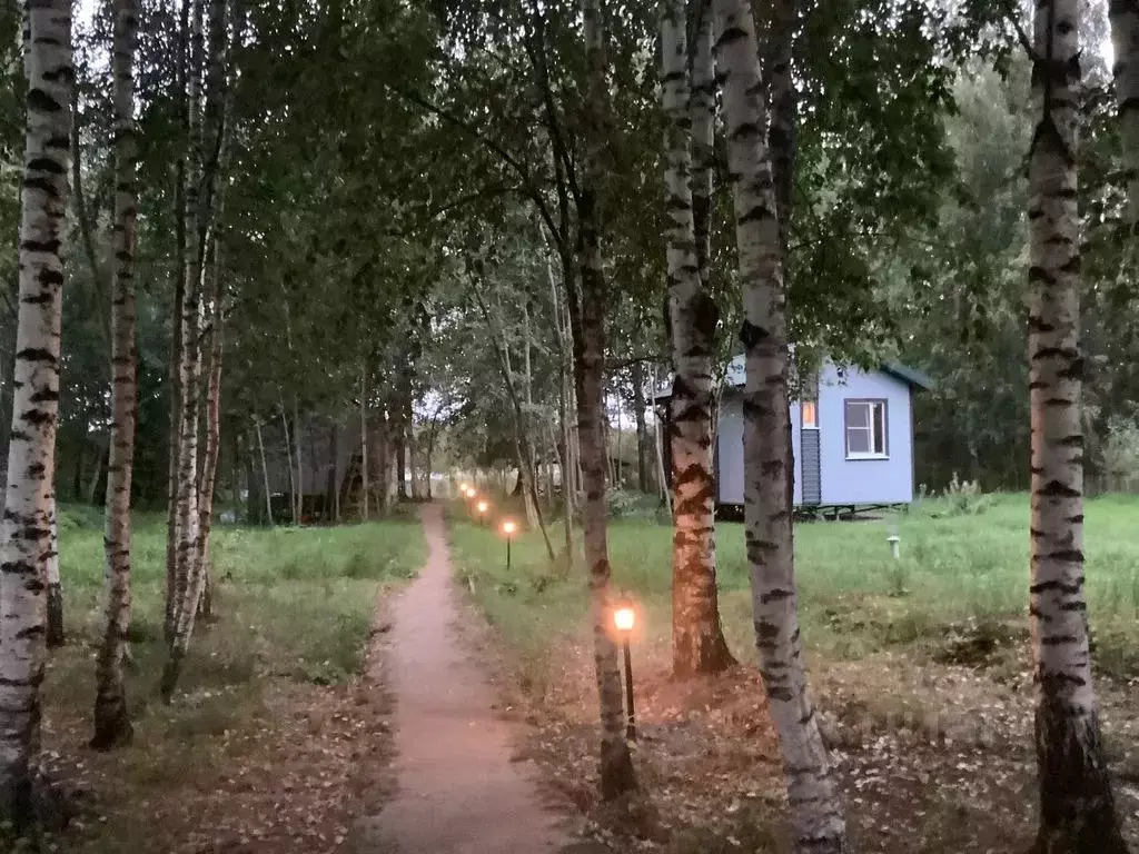 Дом в Ленинградская область, Приозерский район, Ромашкинское с/пос, ... - Фото 1