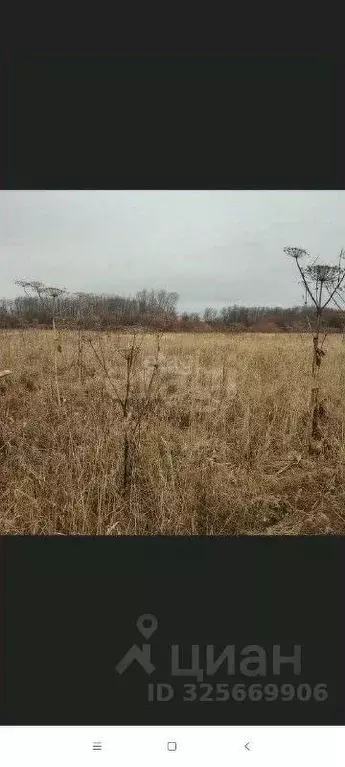 Участок в Пермский край, Краснокамский муниципальный округ, д. Большие ... - Фото 1