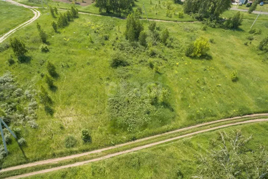 Участок в Алтайский край, Первомайский район, с. Санниково, Овощевод ... - Фото 2