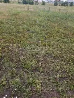 Участок в Липецкая область, Добровский муниципальный округ, с. Большой ... - Фото 0