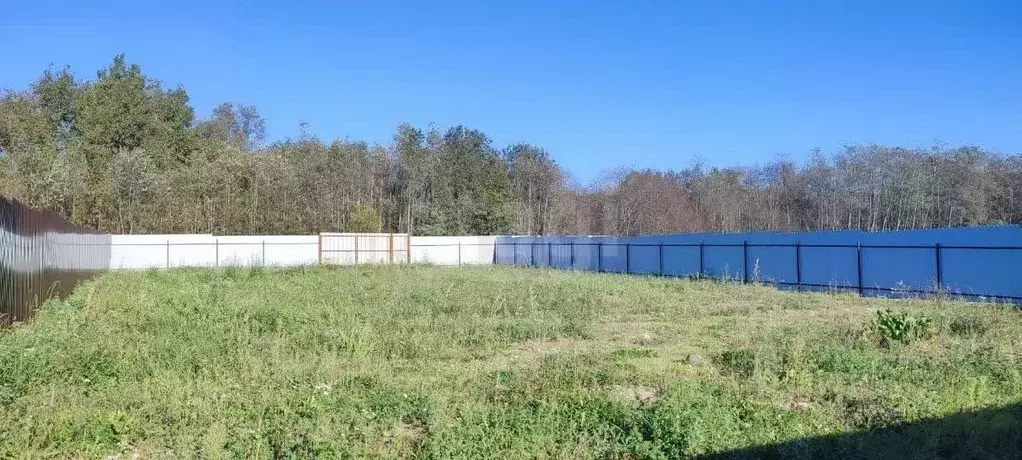 Участок в Санкт-Петербург пос. Петро-Славянка, Красноармейское СНТ, ... - Фото 1