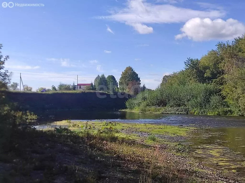 Участок в Пермский край, Кунгурский муниципальный округ, деревня ... - Фото 2
