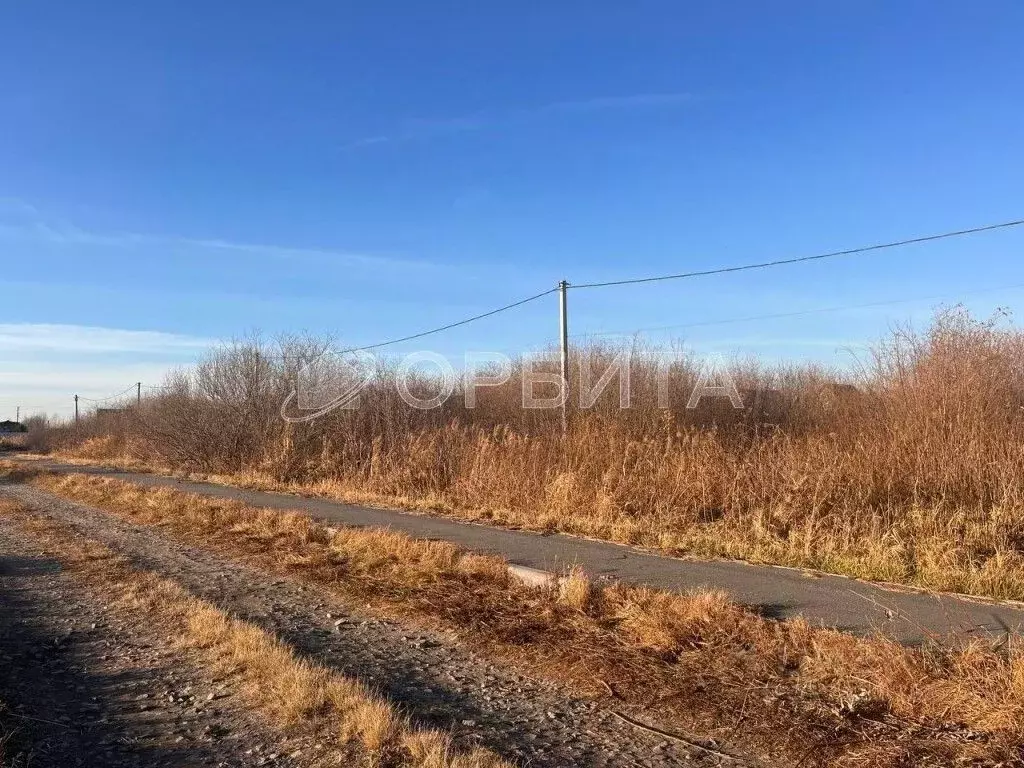 Участок в Тюменская область, Тюменский район, с. Каскара ул. ... - Фото 0