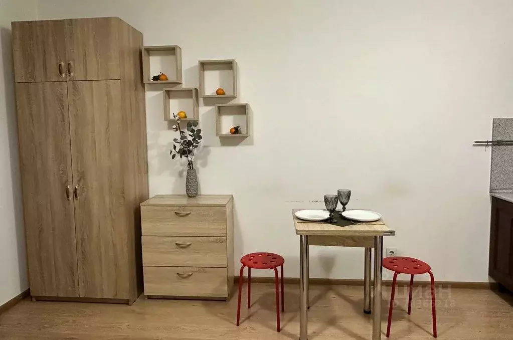 Студия Санкт-Петербург ул. Летчика Лихолетова, 14к2 (24.5 м) - Фото 1