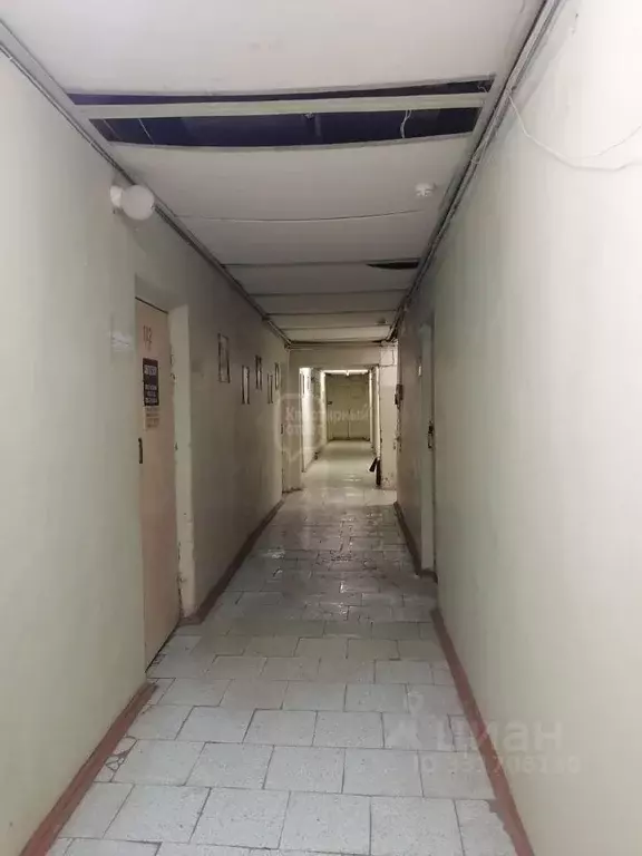 Помещение свободного назначения в Владимирская область, Владимир ул. ... - Фото 1