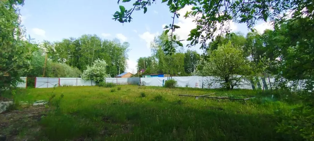 Участок в Новосибирская область, Новосибирский район, Толмачевский ... - Фото 1