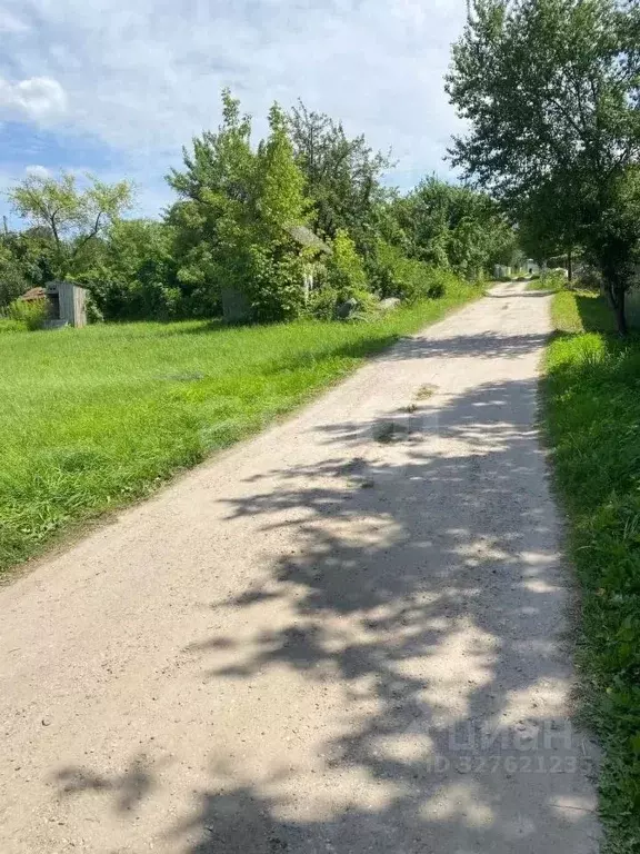 Участок в Брянская область, Брянск Природа садоводческое объединение,  ... - Фото 1