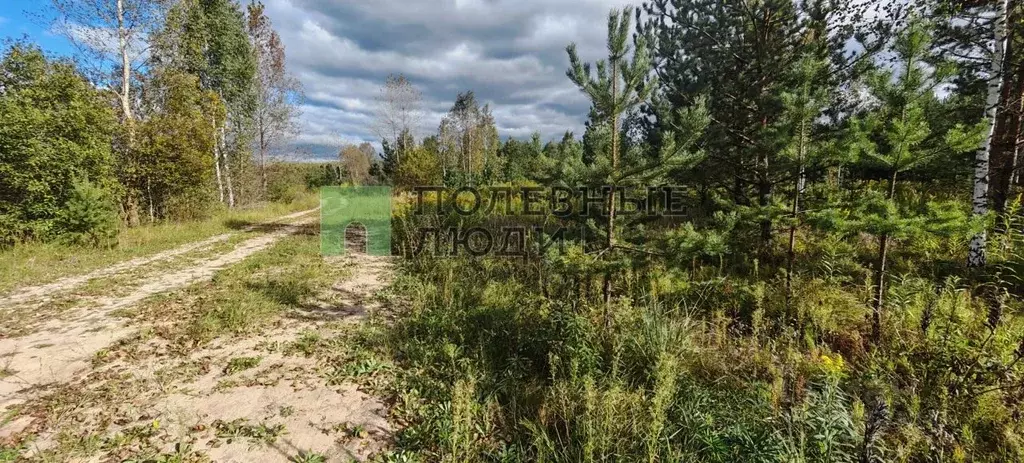 Участок в Татарстан, Зеленодольск Трудовик СНТ,  (5.5 сот.) - Фото 1