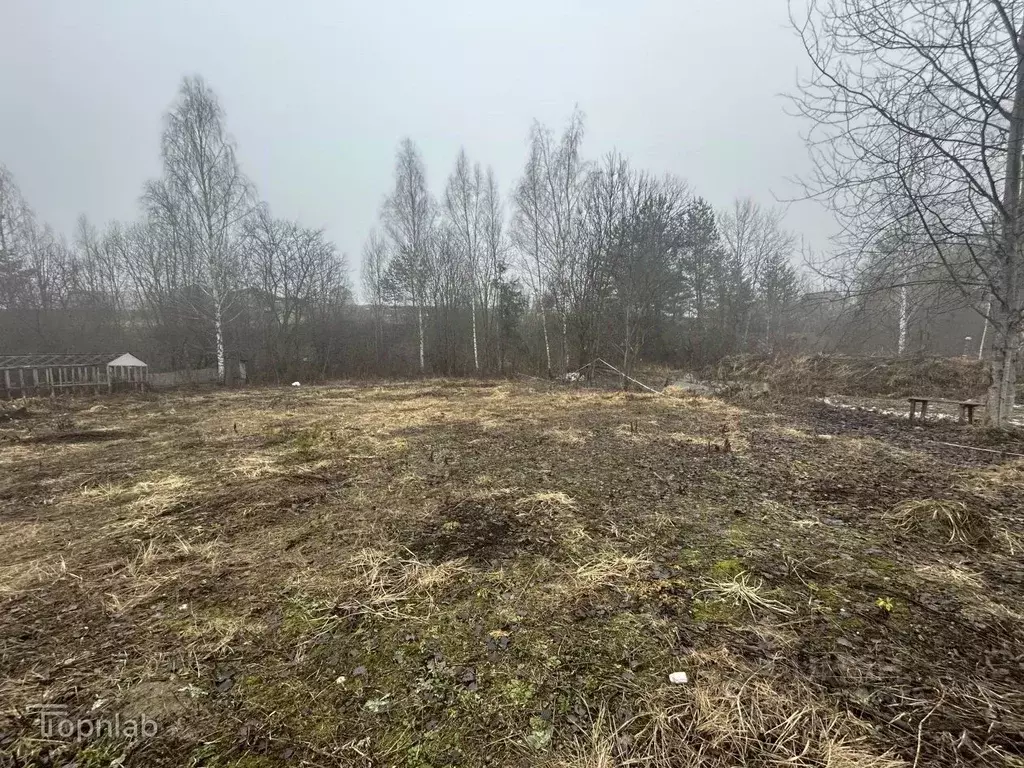 Участок в Брянская область, Брянский район, Супоневское с/пос, Рассвет ... - Фото 2