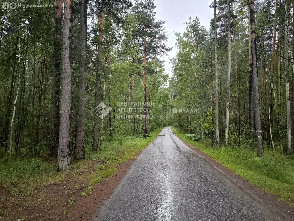 Участок в Ненашкинское сельское поселение (13.5 м) - Фото 0