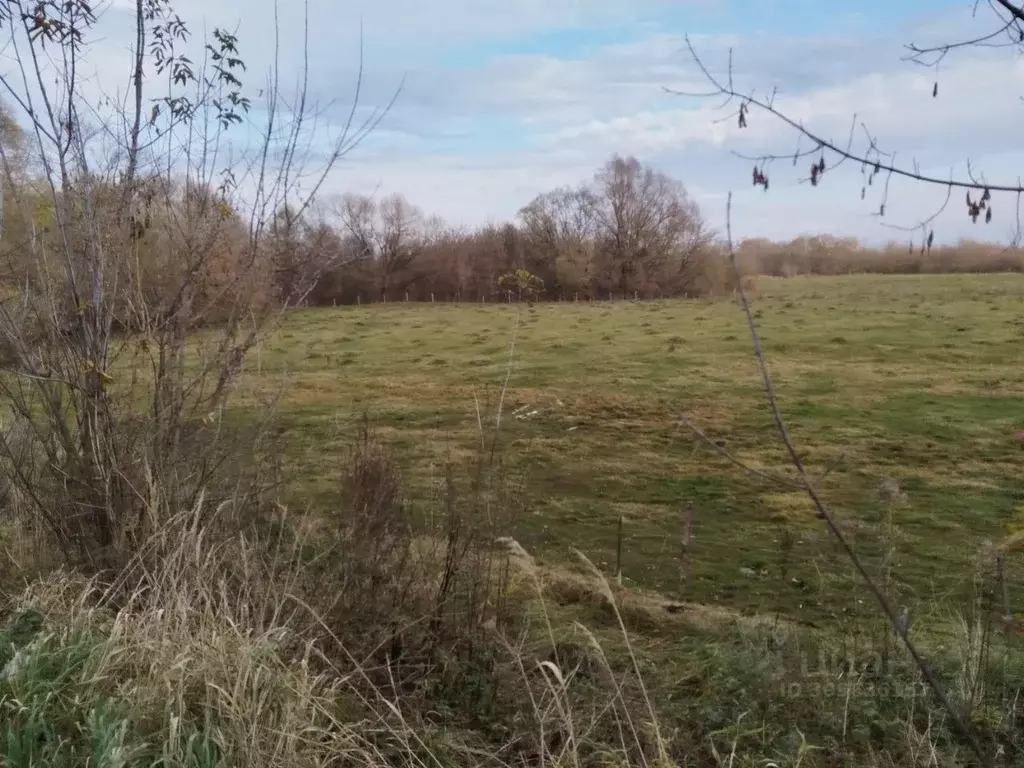 Участок в Брянская область, Карачевский район, Бошинское с/пос, с. ... - Фото 1