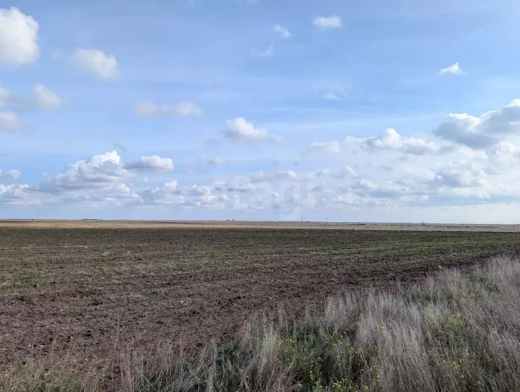 Участок в Крым, Черноморский район, Оленевское с/пос, с. Оленевка  ... - Фото 1
