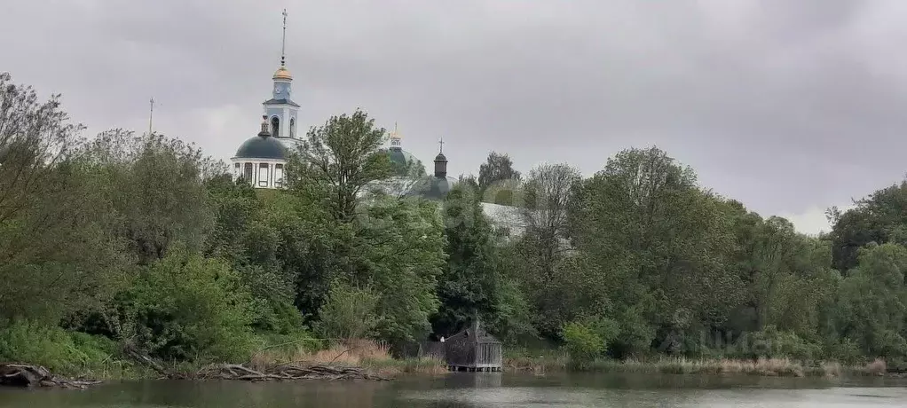 Участок в Брянская область, Брасовский район, Крупецкое с/пос, пос. ... - Фото 2