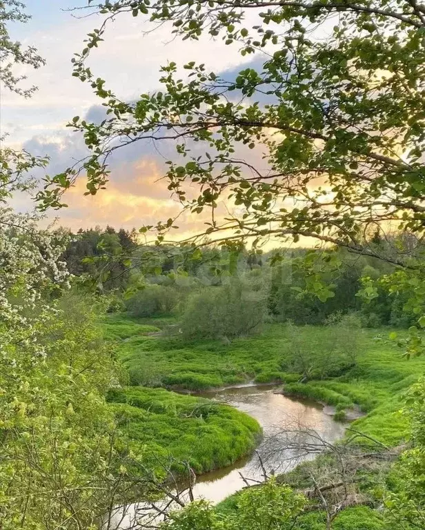 Участок в Московская область, Клин городской округ, Рижские Дачи дп ... - Фото 2