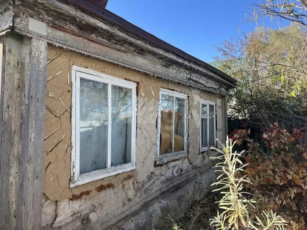 Участок в Воронежская область, Калачеевский район, Краснобратское ... - Фото 2