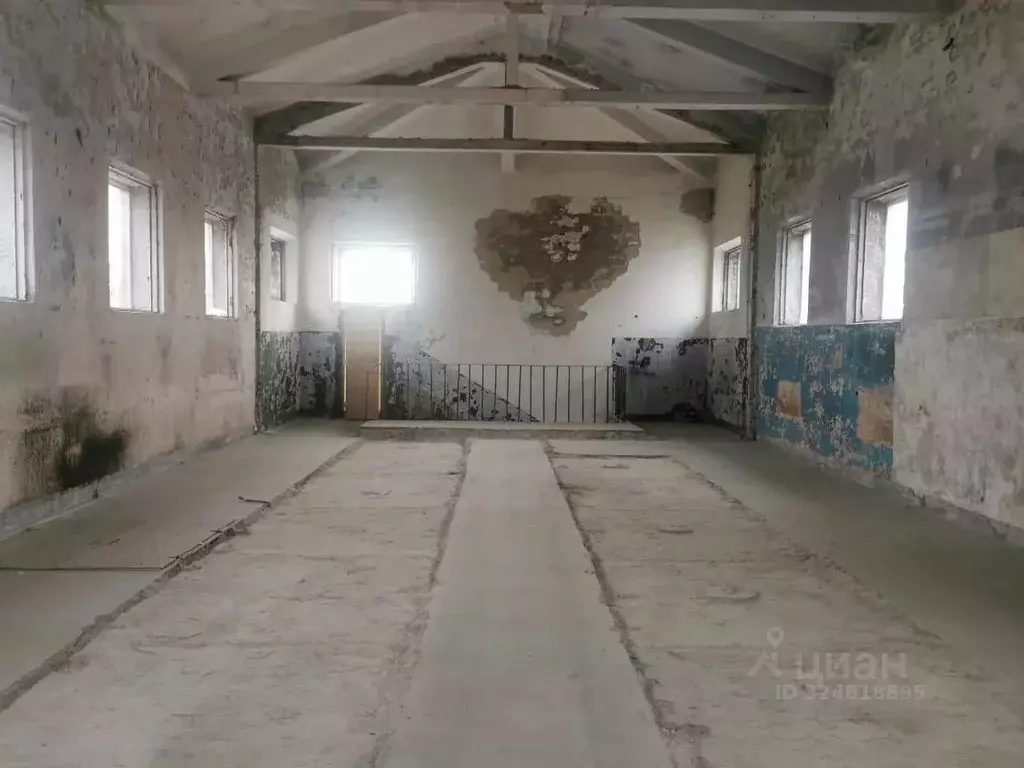 Офис в Санкт-Петербург Кожевенная линия, 32к8П (315 м) - Фото 1