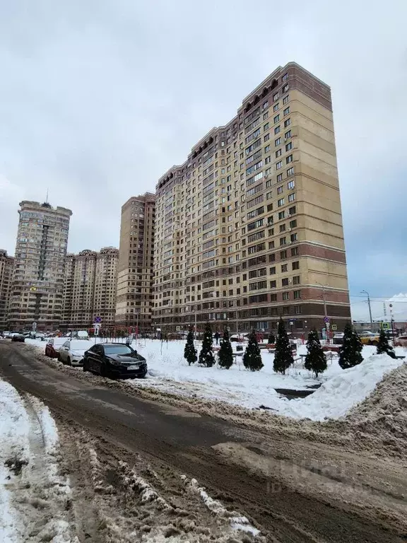 3-к кв. Московская область, Раменское Северное ш., 36 (76.0 м) - Фото 1