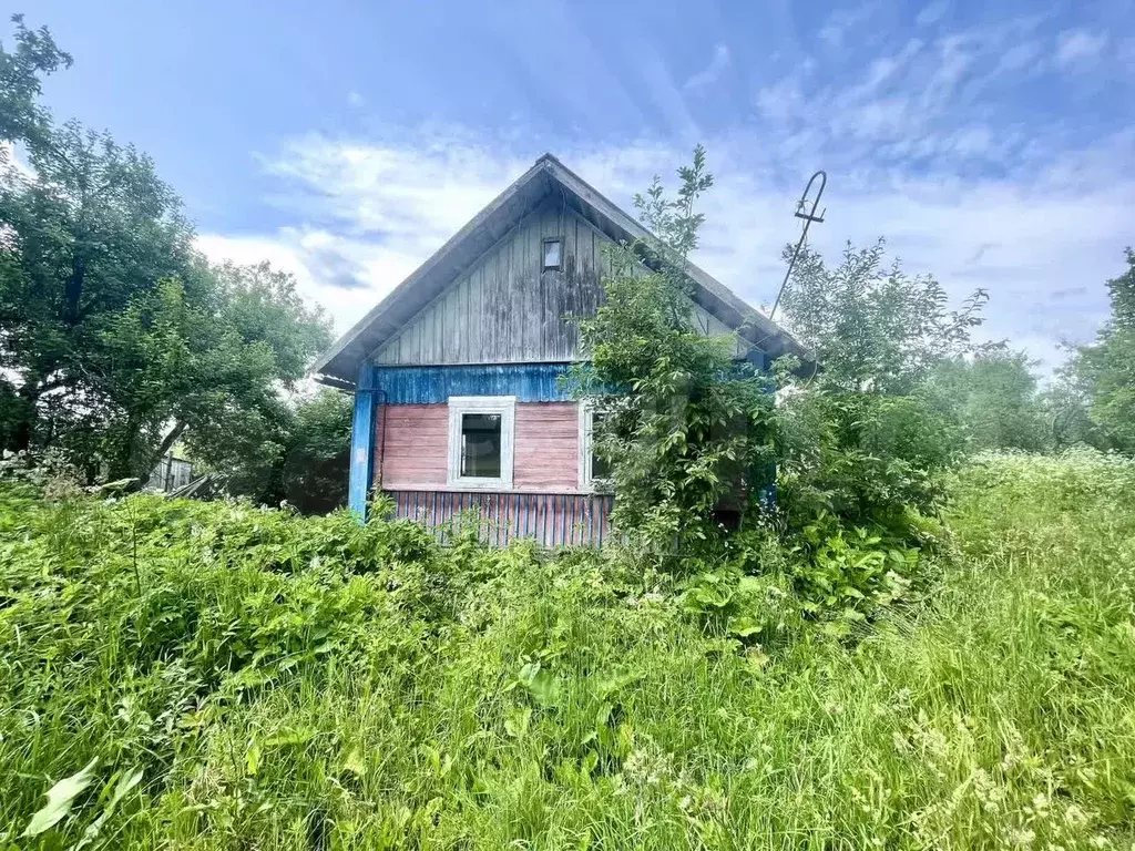 Дом 51,7 м на участке 36 сот. - Фото 0