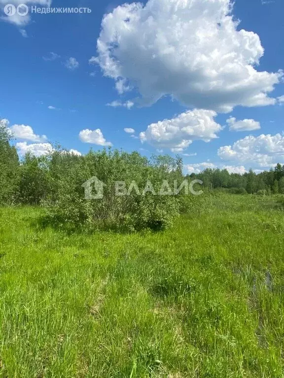 Участок в Вологда, Введенская улица, 11 (8 м) - Фото 1