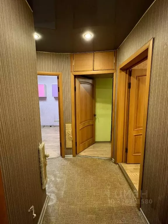 3-к кв. Московская область, Раменский муниципальный округ, Быково пгт ... - Фото 2