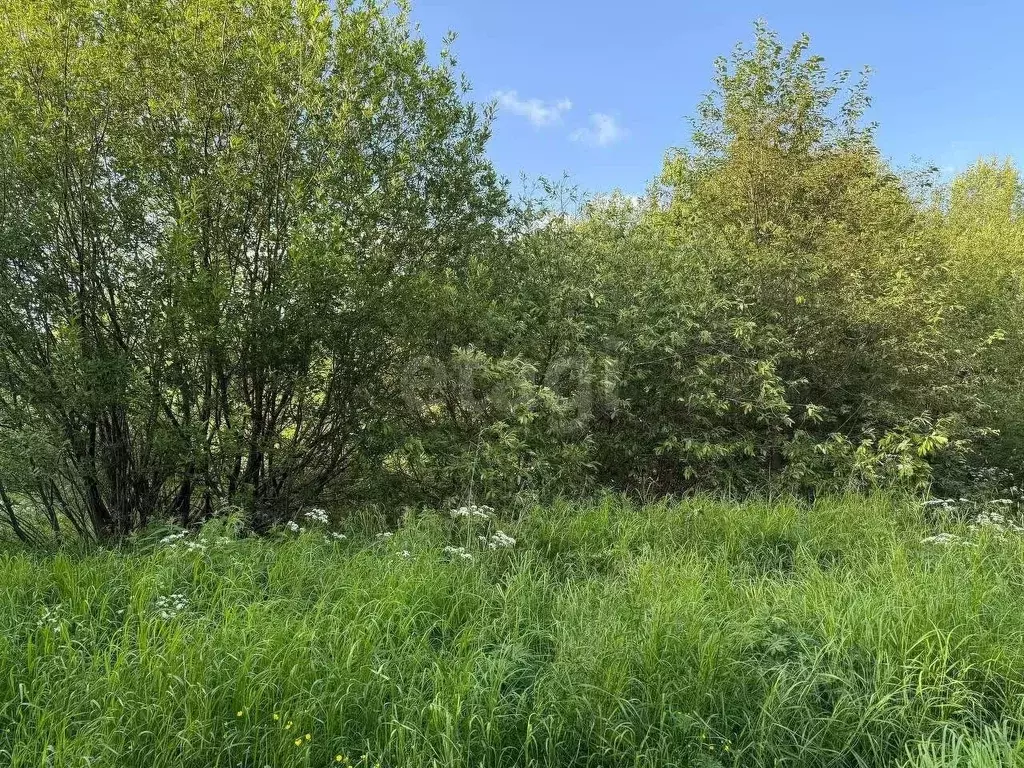 Участок в Вологодская область, Великоустюгский муниципальный округ, ... - Фото 1