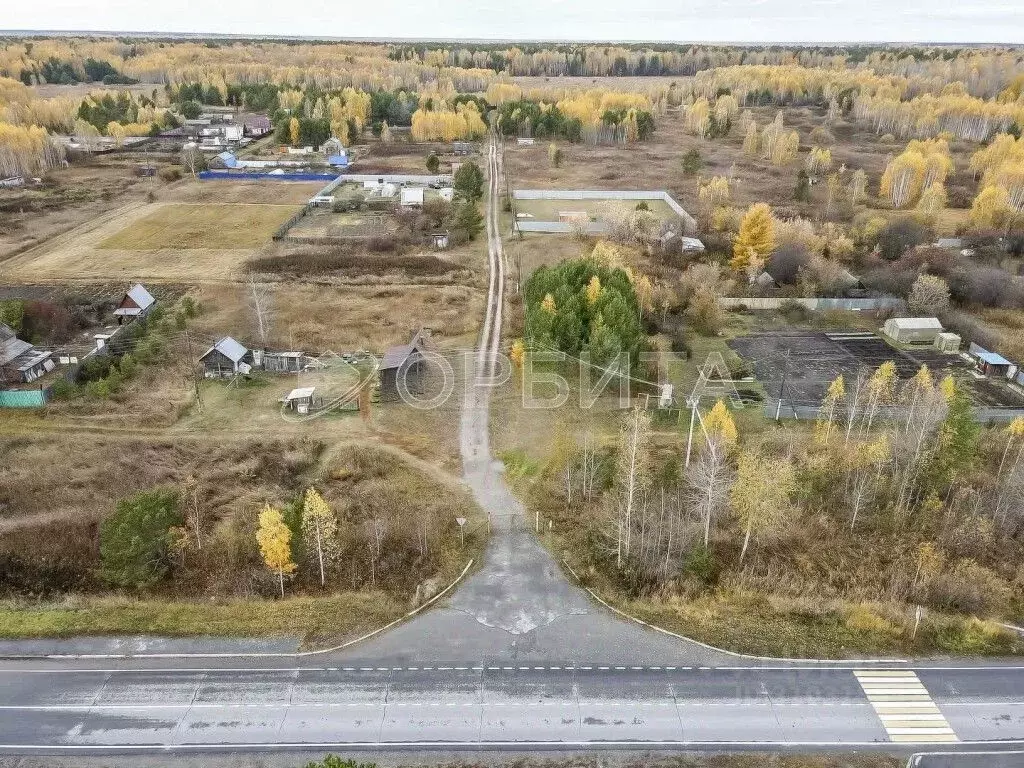 Участок в Тюменская область, Тюменский район, Янтарное ДНТ ул. Лесная ... - Фото 0