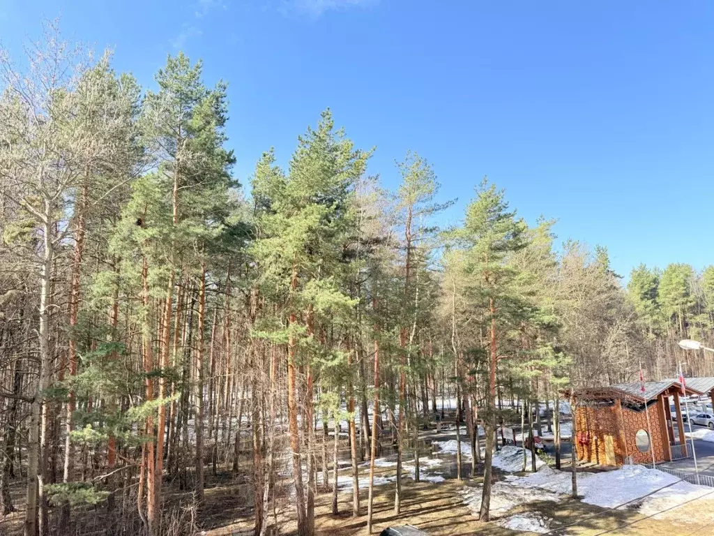 1-к кв. Московская область, Люберцы городской округ, Октябрьский пгт ... - Фото 2