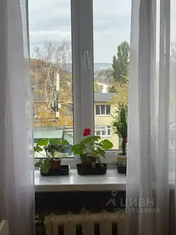 Комната Белгородская область, Белгород Студенческая ул., 12 (13.0 м) - Фото 1