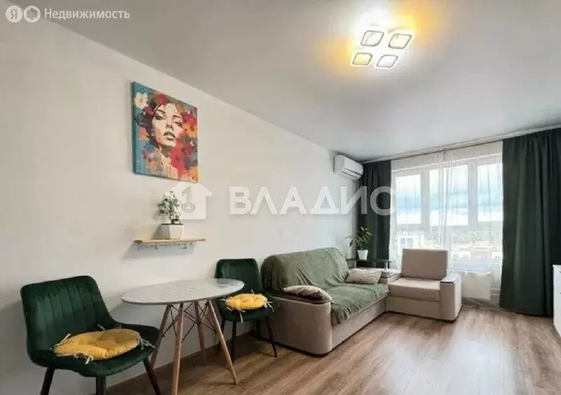 Квартира-студия: деревня Глухово, Романовская улица, 13 (23 м) - Фото 1