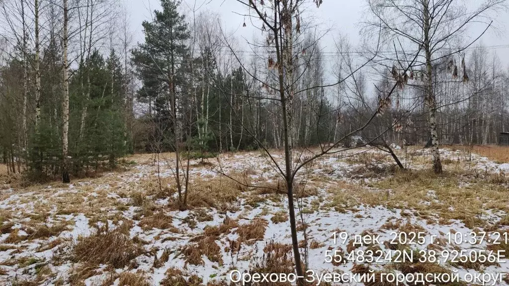 Участок в Московская область, Орехово-Зуевский городской округ, с. ... - Фото 1