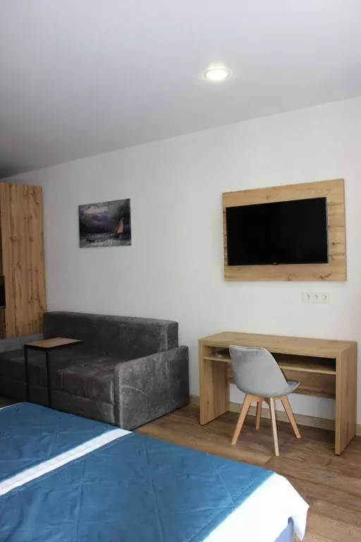 Студия Краснодарский край, Анапа проезд Золотой Берег, 2В (33.0 м) - Фото 2