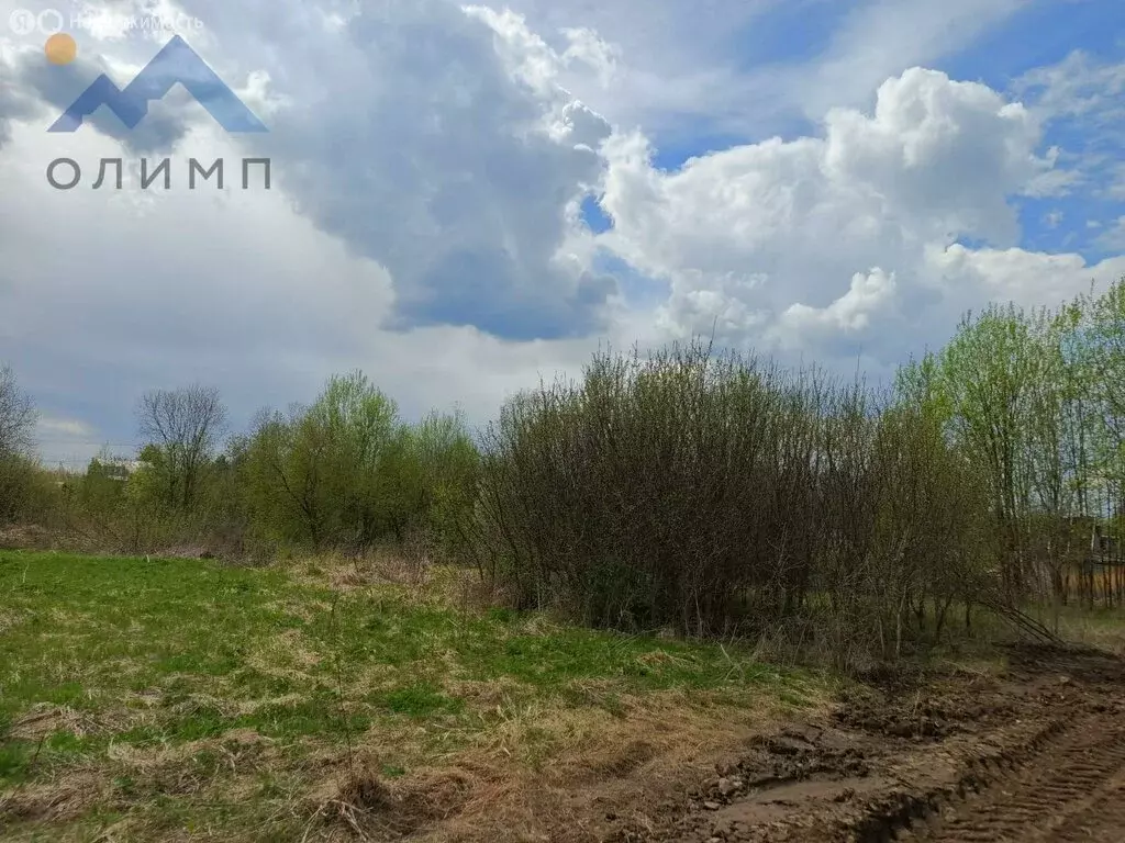 Участок в Вологодский муниципальный округ, садоводческое товарищество ... - Фото 1