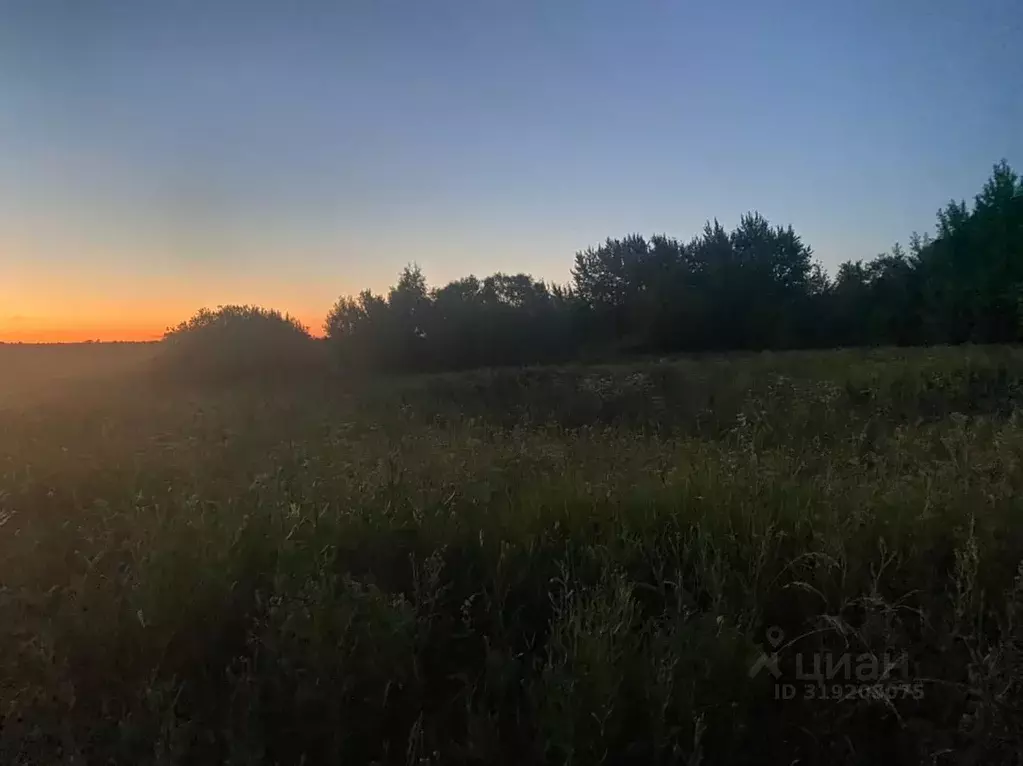 Участок в Смоленская область, Гагаринский муниципальный округ, д. ... - Фото 1