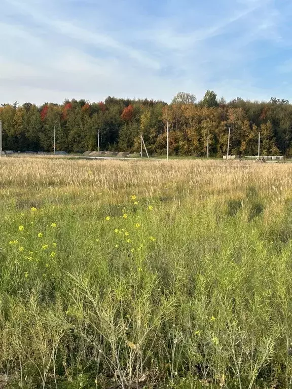 Участок в Татарстан, с. Верхний Услон ул. Ясная, 6 (13.16 сот.) - Фото 1