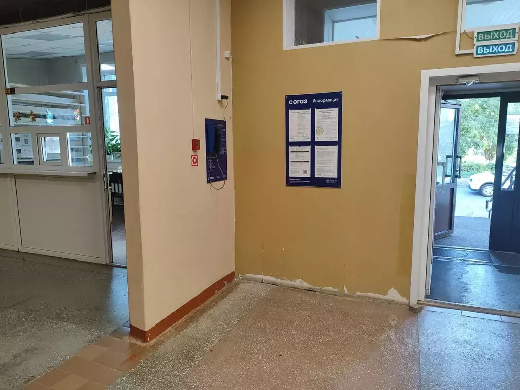 Помещение свободного назначения в Омская область, Омск ул. Сулеймана ... - Фото 1