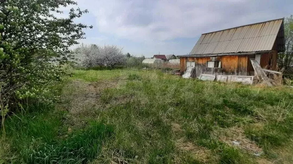 Снт пск. Участок за пределами снт. Съемки сверху снт 45 путилово. Снт биоприбор пущино. Участок за пределами снт.