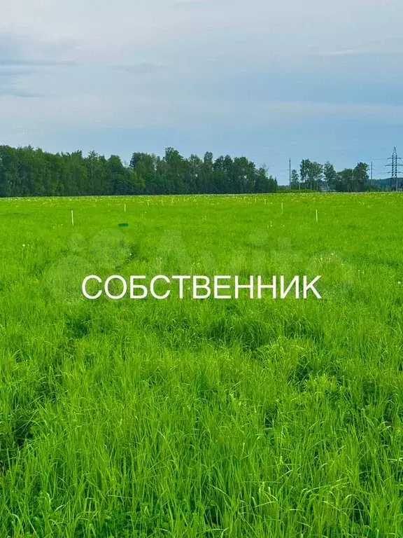 Участок 6 сот. (СНТ, ДНП) - Фото 0