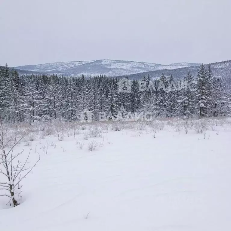 Участок в Бурятия, Улан-Удэ 130-й мкр,  (8.0 сот.) - Фото 1