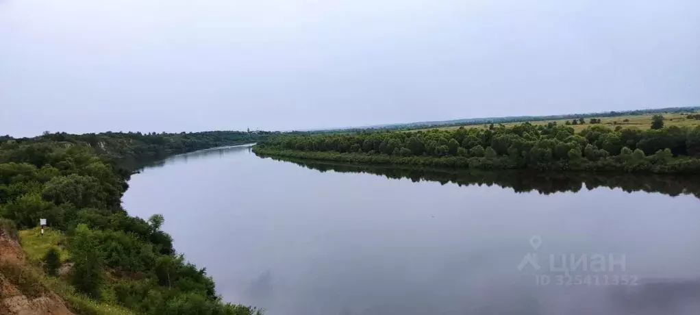 Участок в Рязанская область, Спасский муниципальный округ, с. Троица  ... - Фото 2