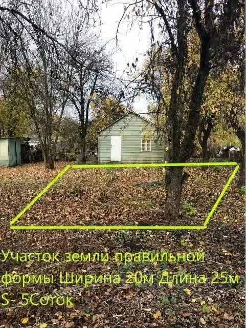 Участок в Брянская область, Брянск Родина садоводческое объединение,  ... - Фото 1