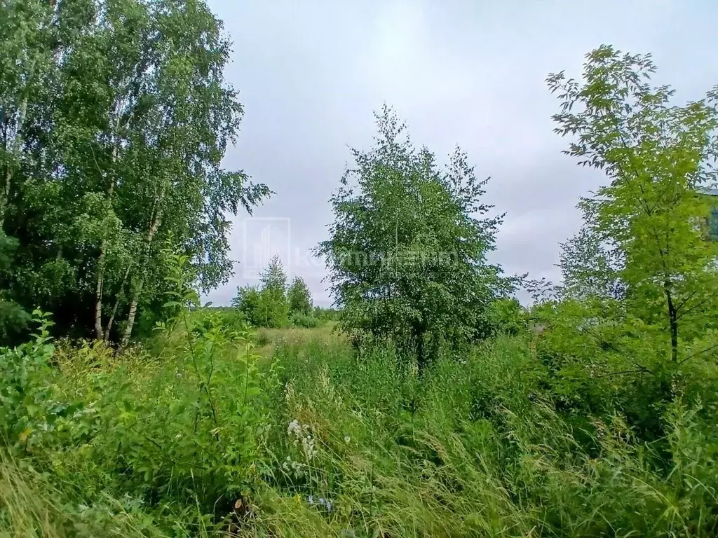 Участок в Владимирская область, Камешково Зеленая ул. (10.57 сот.) - Фото 2