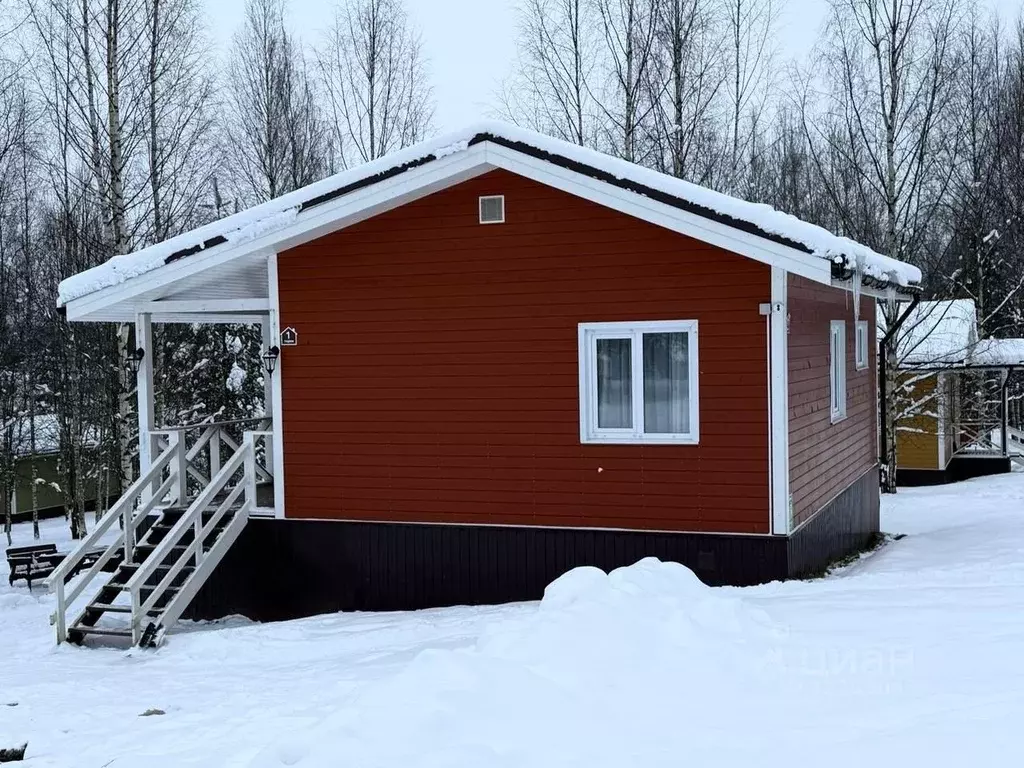 Дом в Новгородская область, Любытинское с/пос, д. Бор 129 (64 м) - Фото 1