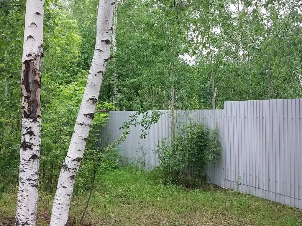 Участок в Хабаровский край, Хабаровский район, Мичуринское с/пос, с. ... - Фото 1