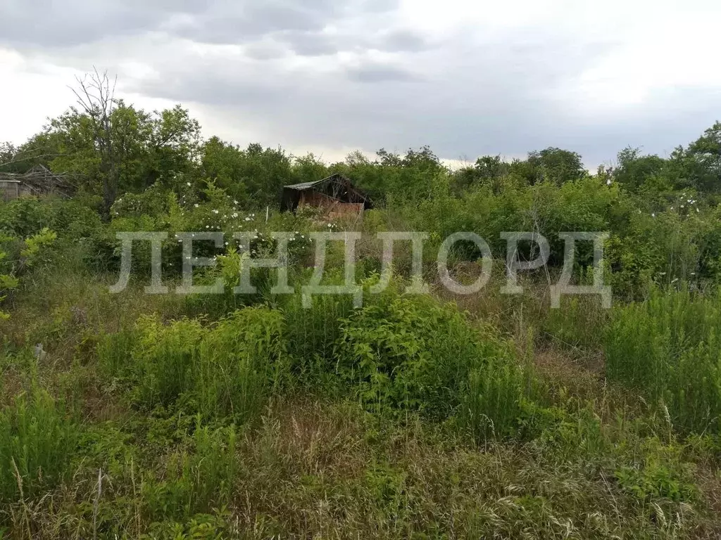 Участок в Ростовская область, Новочеркасск № 16 садовое товарищество, ... - Фото 1