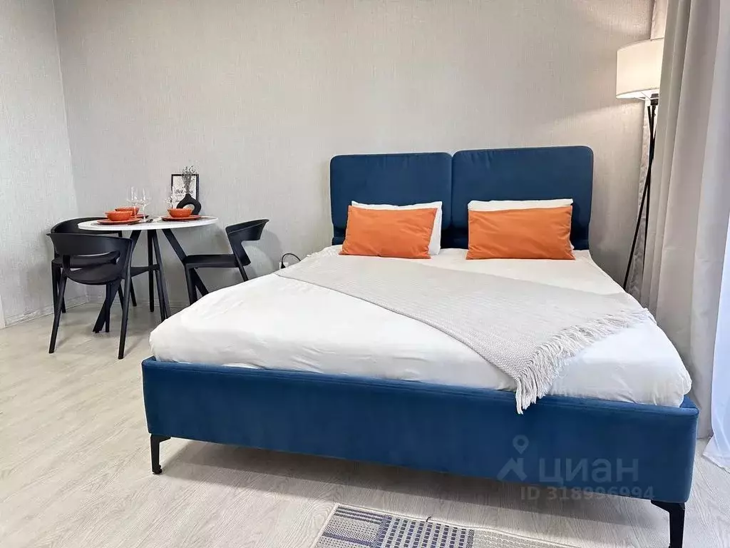 Студия Татарстан, Казань ул. Рауиса Гареева, 109 (29.0 м) - Фото 1